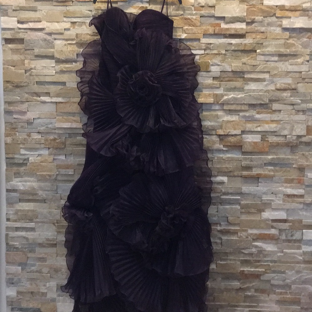 NWT women’s gown pleats extraordinaire!